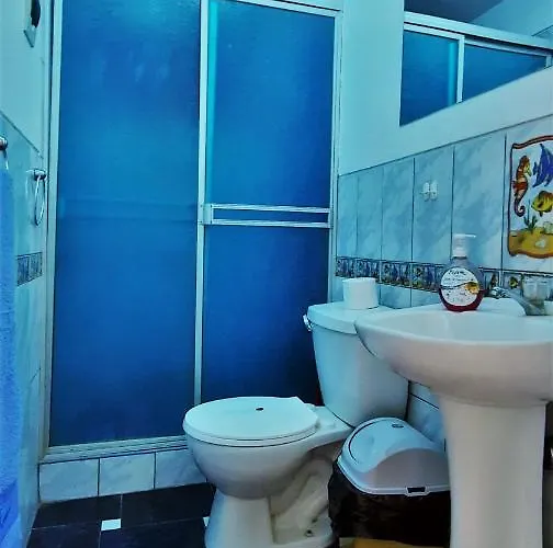 Departamento Céntrico , Cómodo Y Económico En